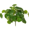 Artificial stephania erecta plant, 9"