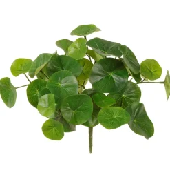 Artificial stephania erecta plant, 9"