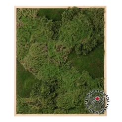 Artificial textured moss plant wall, 36 x 30"