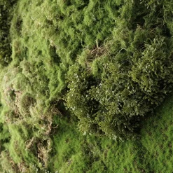 Artificial textured moss plant wall, 36 x 30
