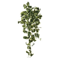 Artificial trailing euonymus plant, 35″