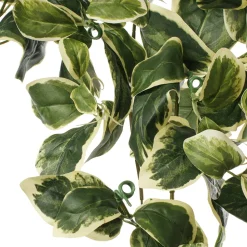 Artificial trailing euonymus plant, 35″
