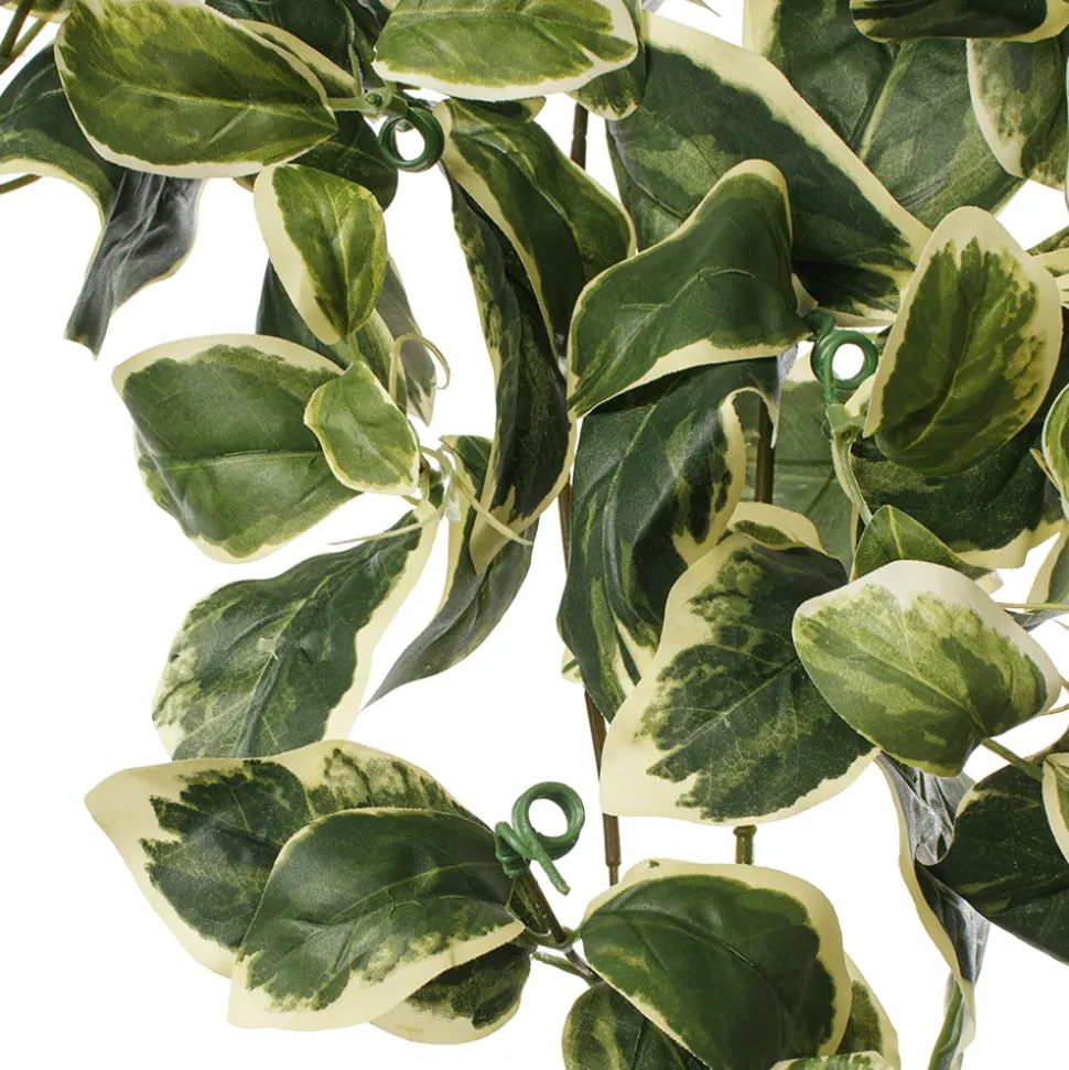 Artificial trailing euonymus plant, 35″