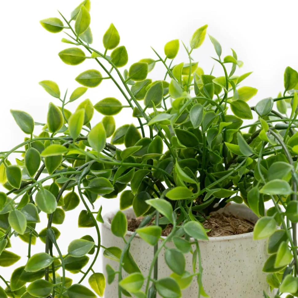 Artificial trailing plant in a handmade planter, 25 x 11"