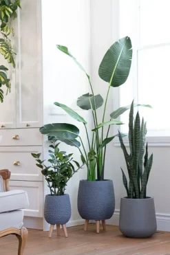 Artificial traveller palm, 58"