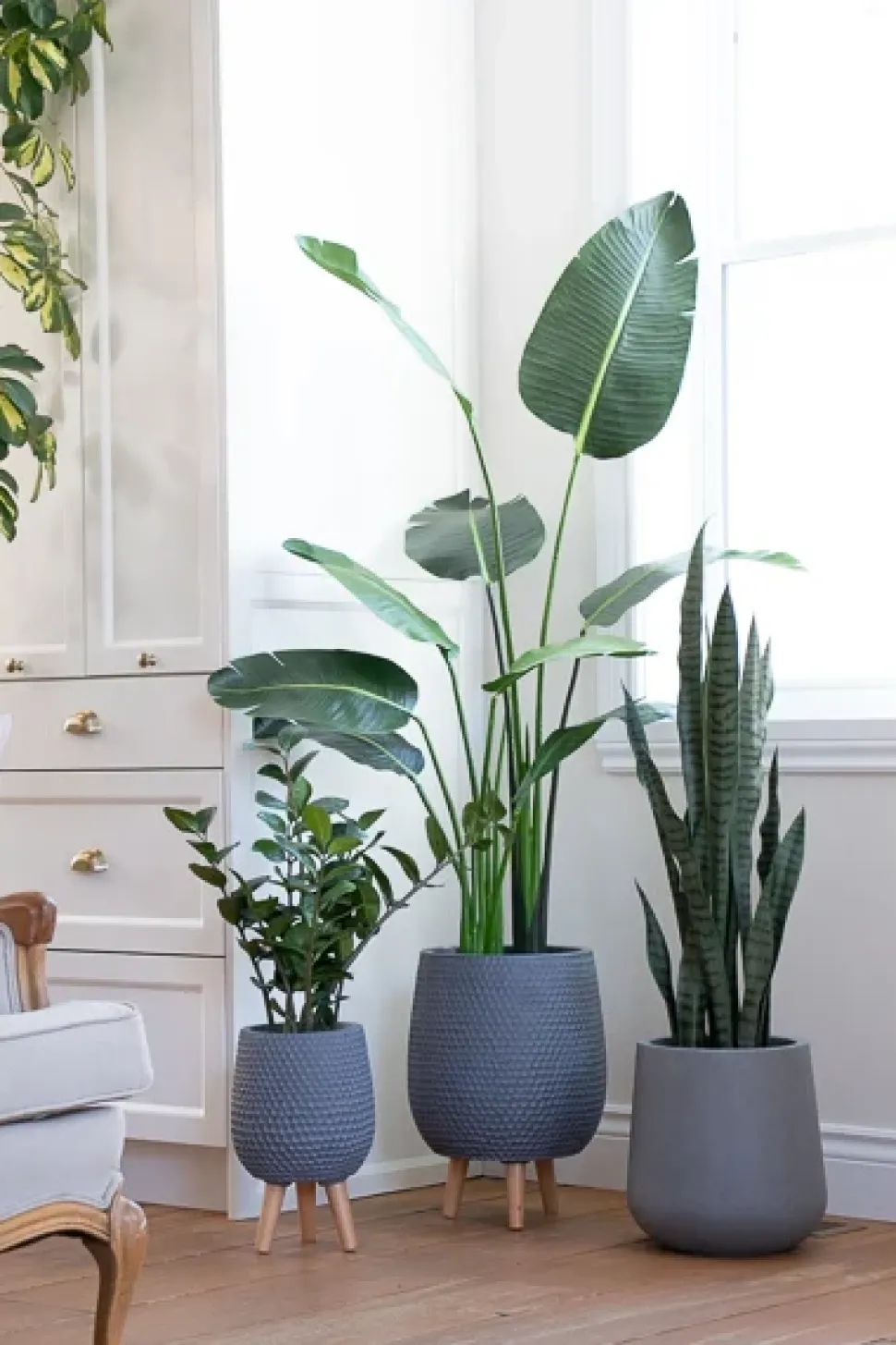 Artificial traveller palm, 58"