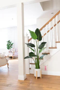 Artificial traveller palm, 58