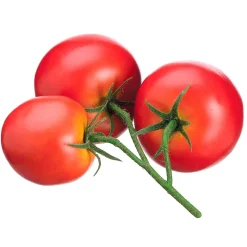 Artificial triple red tomato stem, 5"