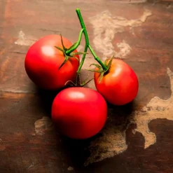 Artificial triple red tomato stem, 5"
