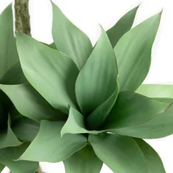 Artificial 4-trunk agave, 51