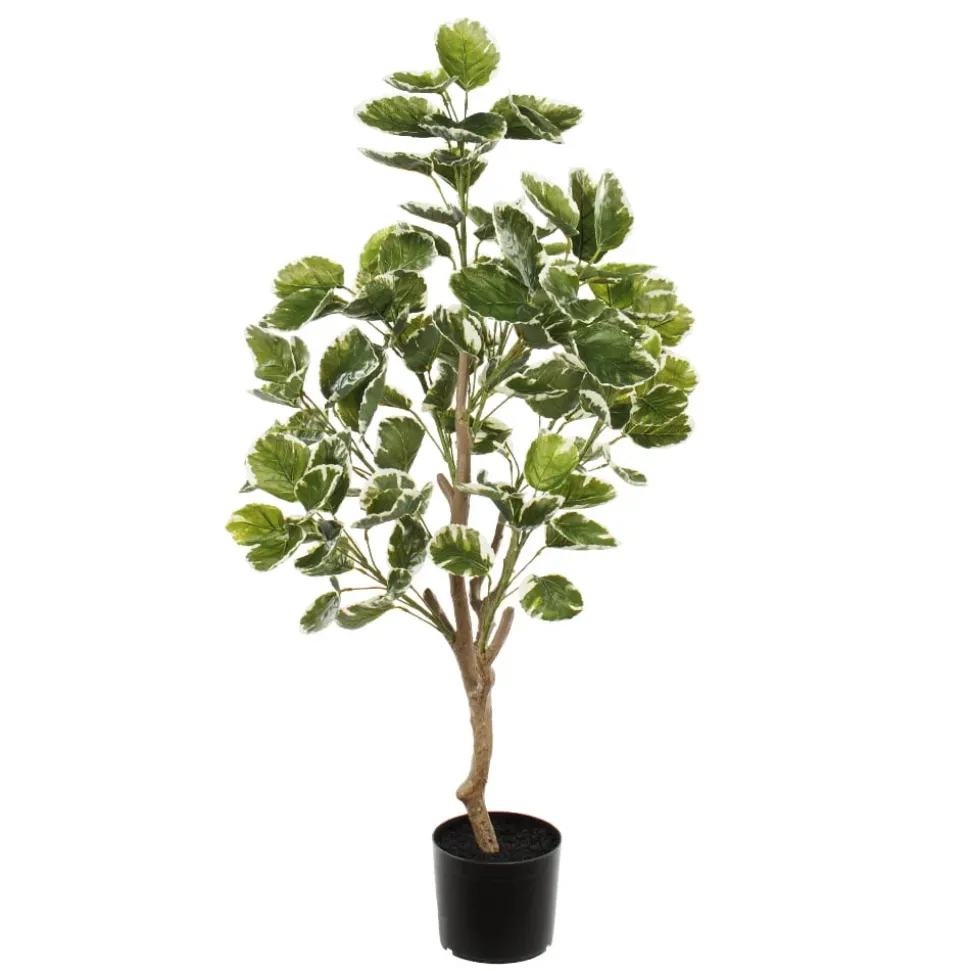 Artificial variegated aralia balfour plant, 47″