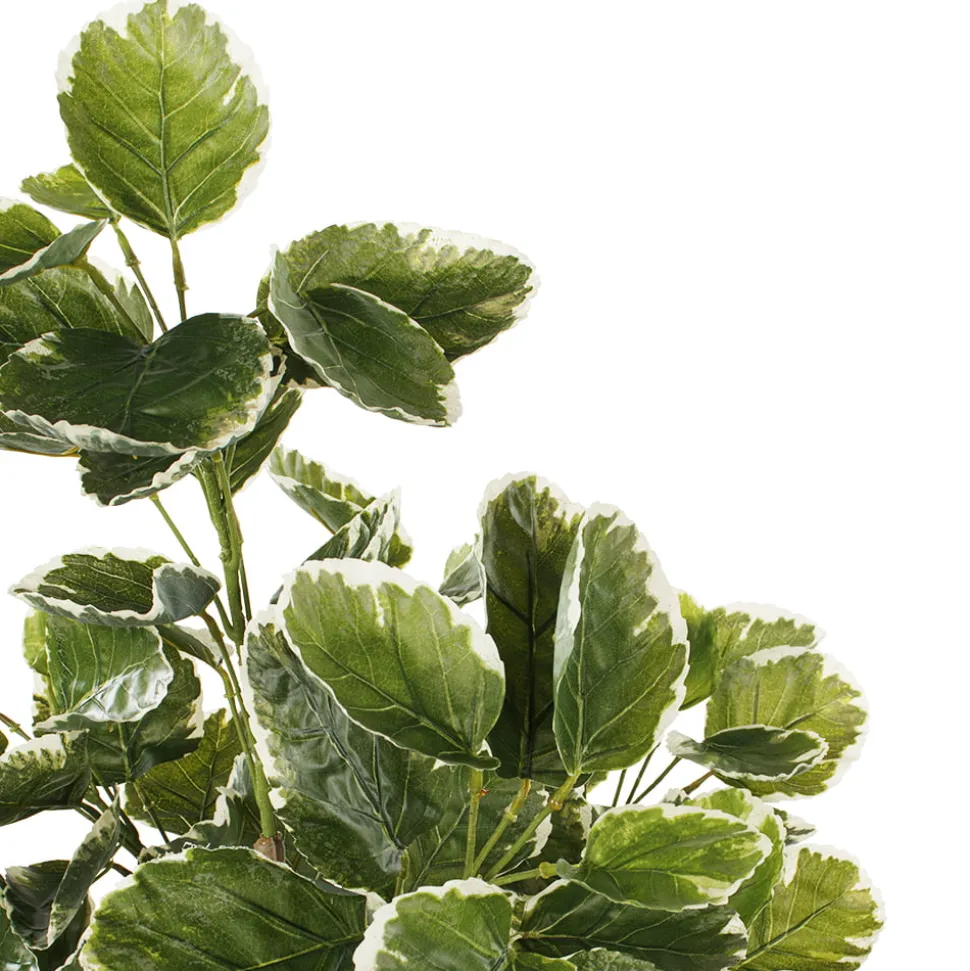 Artificial variegated aralia balfour plant, 47″