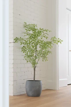 Artificial variegated elm tree, 47