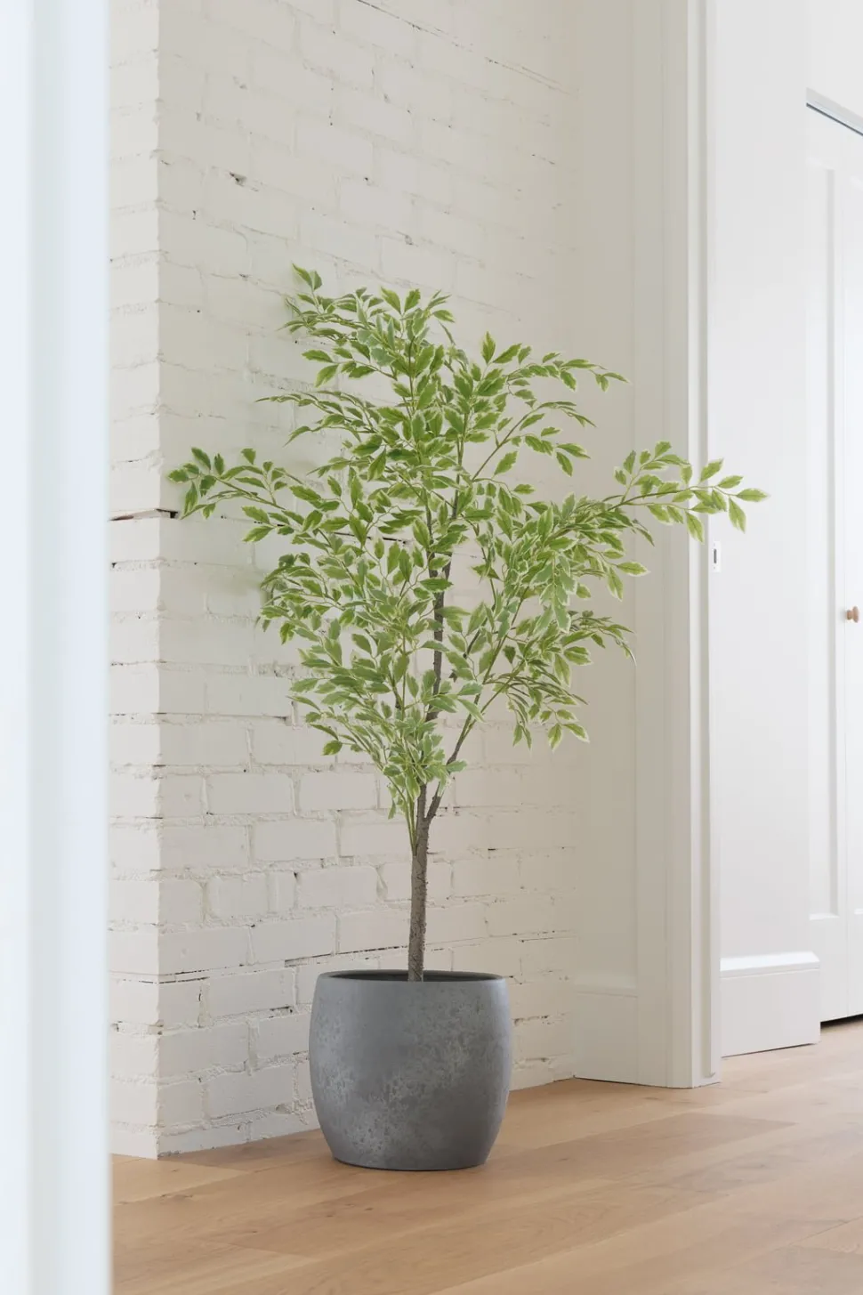 Artificial variegated elm tree, 47"