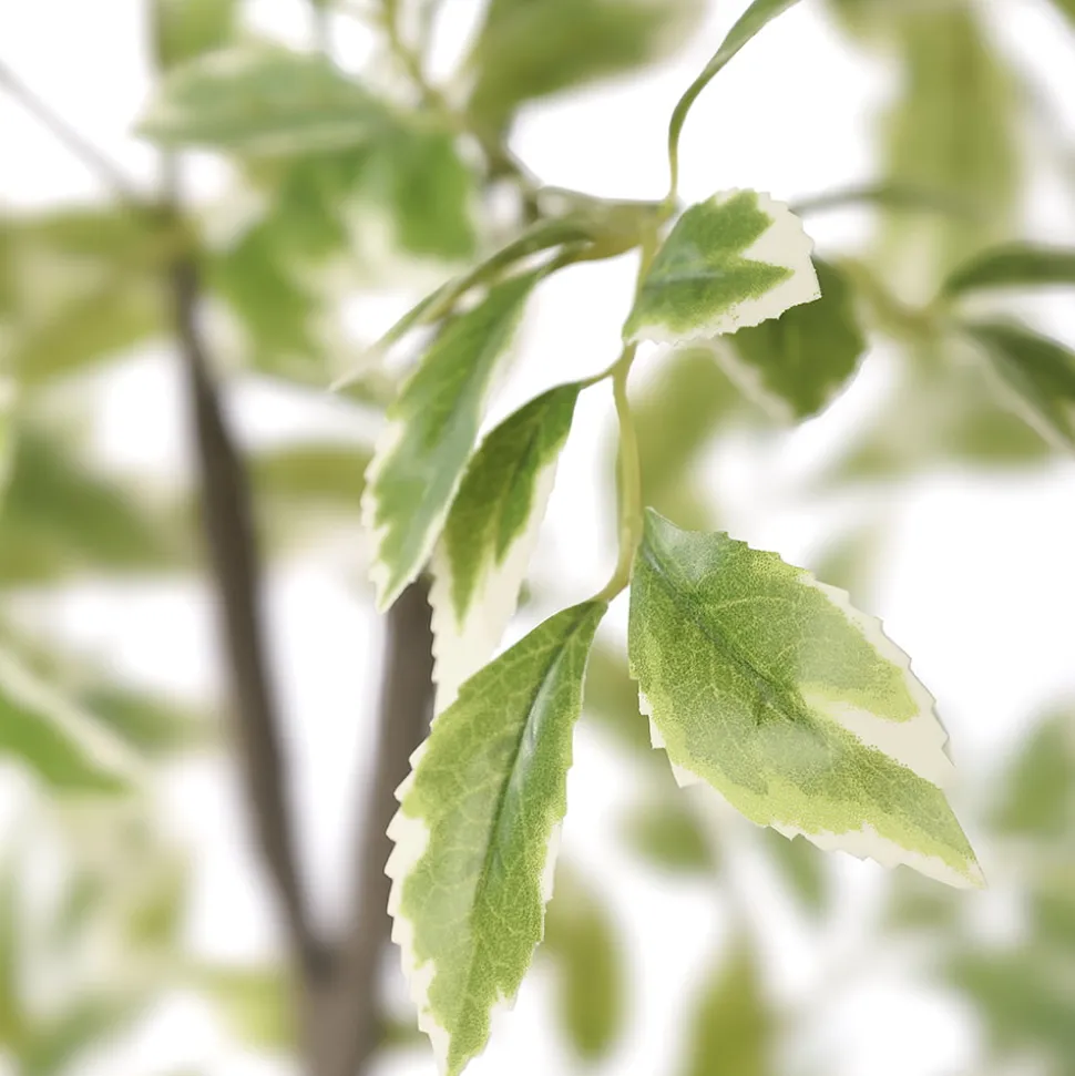 Artificial variegated elm tree, 47"