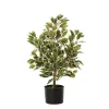 Artificial variegated ficus, 26″