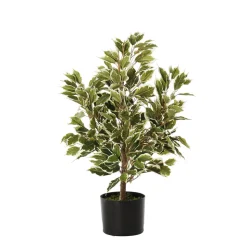 Artificial variegated ficus, 26″