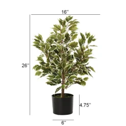 Artificial variegated ficus, 26″