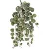 Artificial variegated peperomia trailing plant, 18″