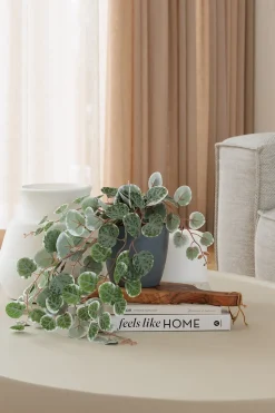 Artificial variegated peperomia trailing plant, 18″