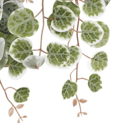 Artificial variegated peperomia trailing plant, 18″