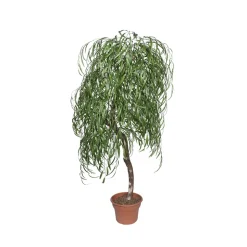 Artificial weeping willow handmade tree