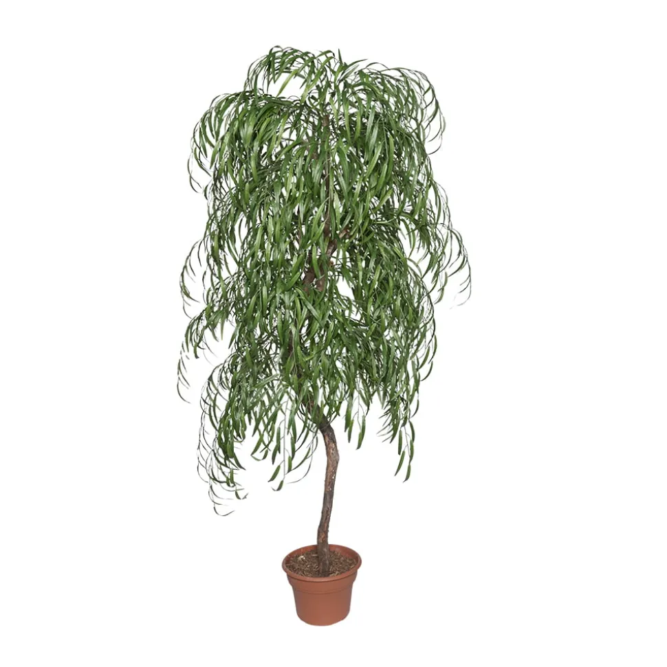 Artificial weeping willow handmade tree