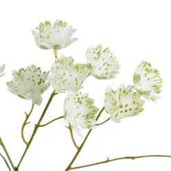 Artificial white astrantia flower stem, 24