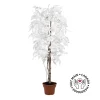 Artificial white birch indoor handmade tree