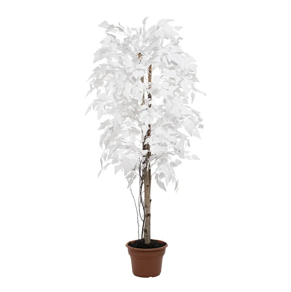 Artificial white birch indoor handmade tree