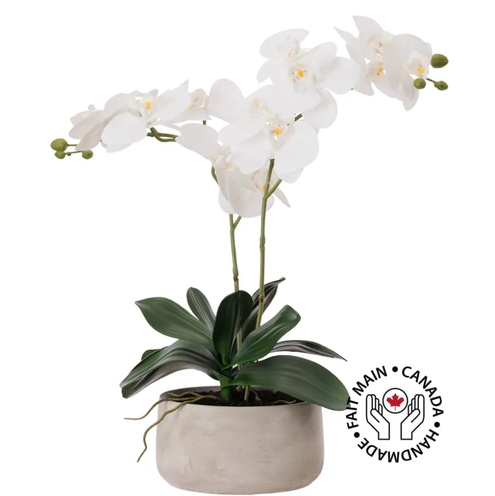 Artificial white orchid in a cement pot