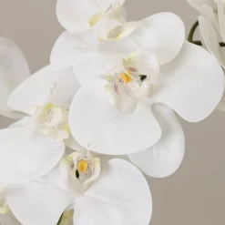 Artificial white orchid in a cement pot