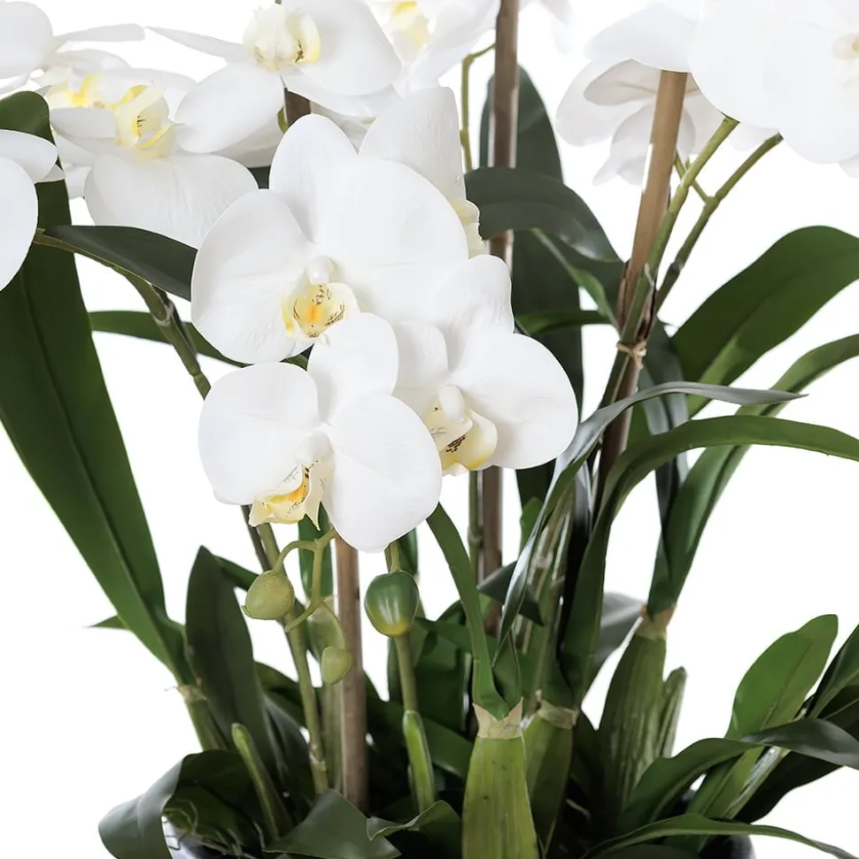 Artificial white orchid plant in a black pot