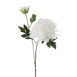 Artificial white peony with bud, 28"