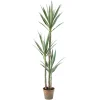 Artificial yucca 3 trunks plant, 59"