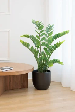 Artificial zamioculcas, 51″