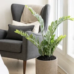 Artificial zamioculcas, 51″