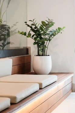 Artificial zamioculcas plant, 38"