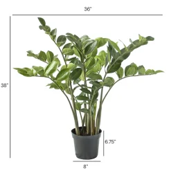 Artificial zamioculcas plant, 38
