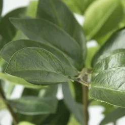 Artificial zamioculcas plant, 38