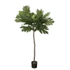 Artocarpus artificiel, 63″