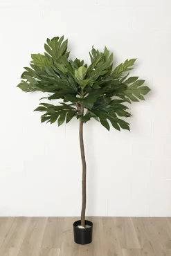 Artocarpus artificiel, 63″