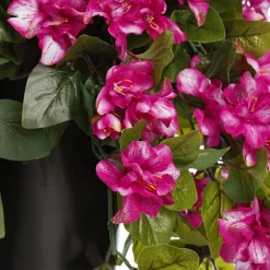 Azalée rose pâle en pot de culture noir, 28 x 20″