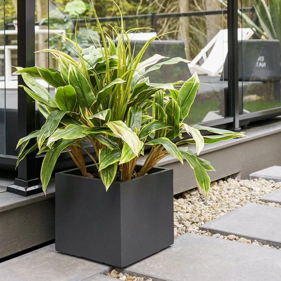 Bac à fleurs noir en polystyrène