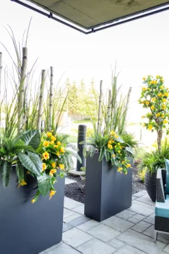 Bac vertical noir en fibre d’argile