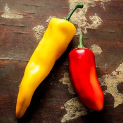 Bag of 8 artificial mixed peppers, 9 x 7"