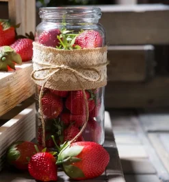 Bag of 24 artificial red strawberries, 1,5