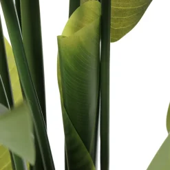 Bananier géant artificiel, 82,5″