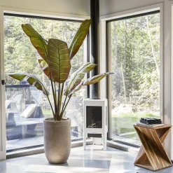 Bananier rouge artificiel, 75″