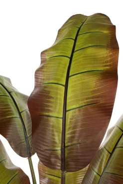 Bananier rouge artificiel, 75″